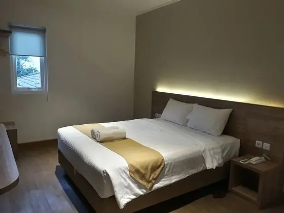 Deluxe Tek Büyük veya İki Ayrı Yataklı Oda