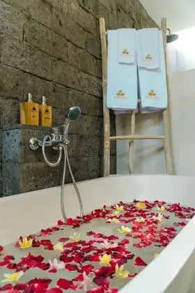 Luxury Villa, 1 Büyük (Queen) Boy Yatak