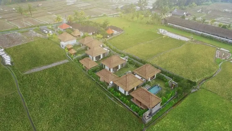 Luxury Villa, 1 Büyük (Queen) Boy Yatak