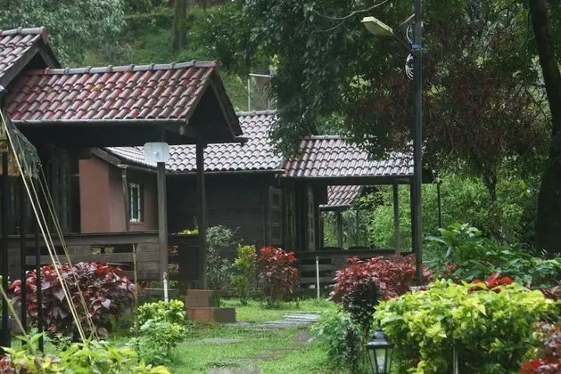 Deluxe Kır Evi, Tepe Manzaralı