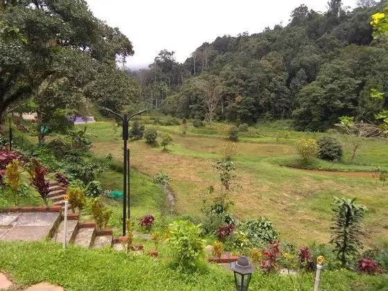 Luxury Çadır, Tepe Manzaralı