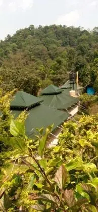 Luxury Çadır, Tepe Manzaralı