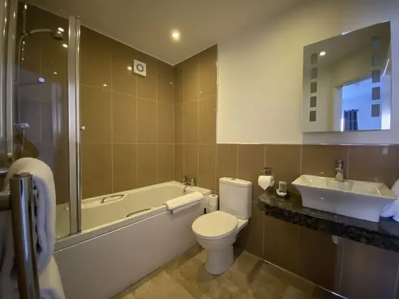 Tek Büyük Yataklı Oda, Banyolu/Duşlu (or Twin)