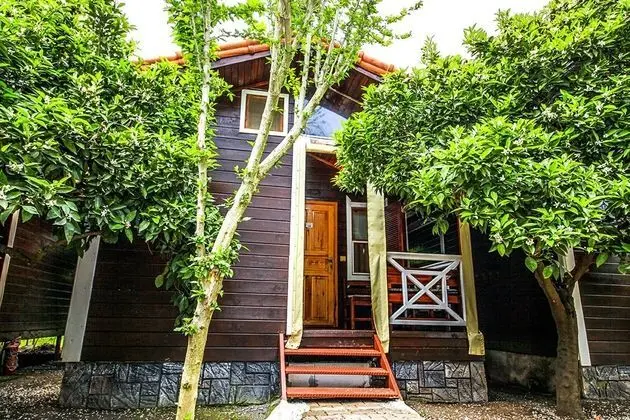 Standart Bungalow