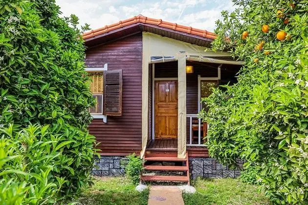 Standart Bungalow