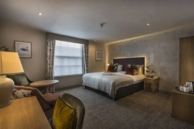 Superior Tek Büyük Yataklı Oda