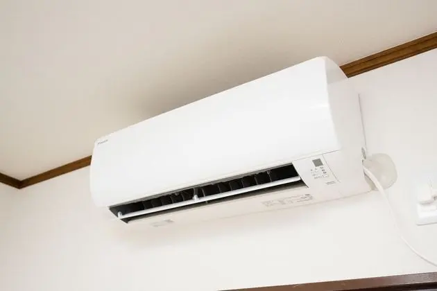 Basic Ev (Private Vacation)