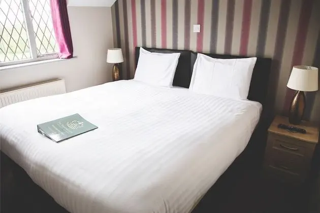 Tek Büyük Yataklı Oda, Banyolu/Duşlu (Super)