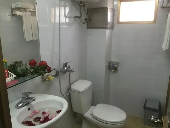 Standard İki Ayrı Yataklı Oda, Şehir Manzaralı
