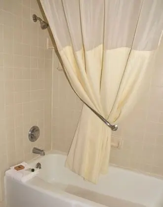 1 Queen Bed Non Smoking (Pet Friendly)