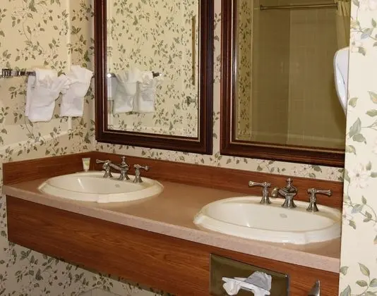 1 Queen Bed Non Smoking (Pet Friendly)
