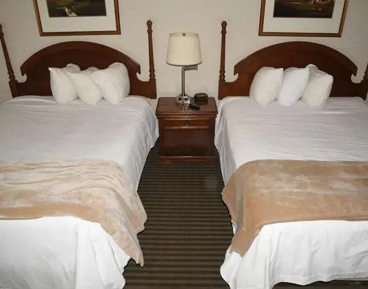 Oda, 2 Büyük (Queen) Boy Yatak, Sigara İçilmez (Pet Friendly)
