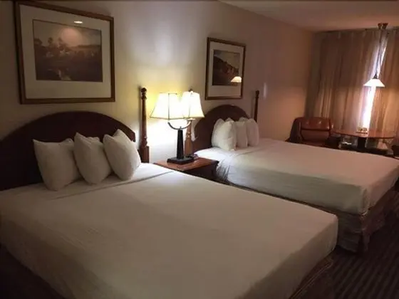 Room, 2 Queen Beds, Non Smoking (No Pets Allowed)