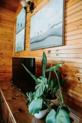 Family Dağ Evi, 2 Yatak Odası