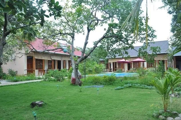 Bungalov, Havuz Manzaralı