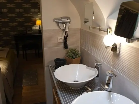 Tek Büyük Yataklı Oda, Özel Banyo (Les Libellules)