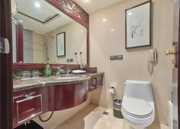 Deluxe Tek Büyük veya İki Ayrı Yataklı Oda