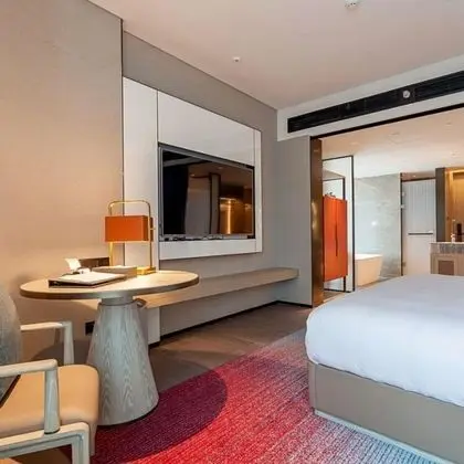 Business Tek Büyük Yataklı Oda, Şehir Manzaralı