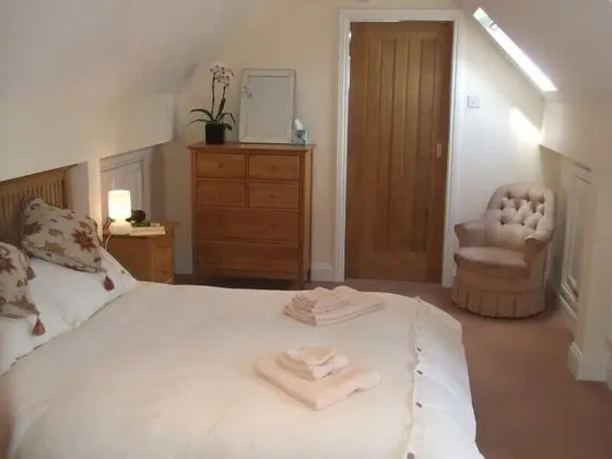 Tek Büyük Yataklı Oda, Banyolu/Duşlu (Terrace Room)