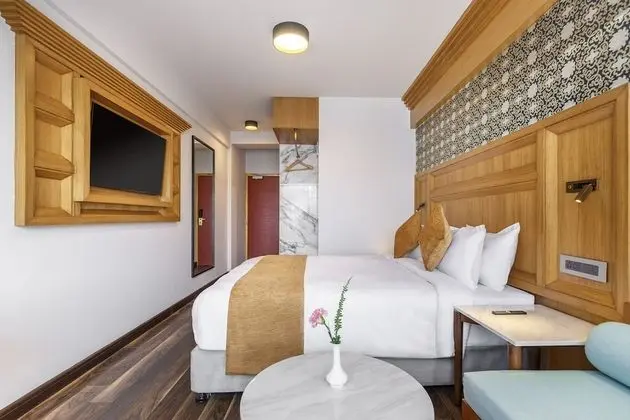 Deluxe Oda, 1 Çift Kişilik Yatak