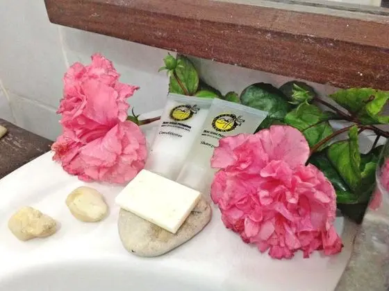 Ortak Ranzalı Oda, Ortak Banyo (Budget Fan Room)