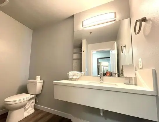 Premium King Room - 1 King Bed