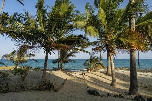 Standard Dört Kişilik Oda