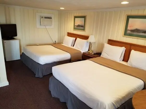 Standard Oda, 2 Büyük (Queen) Boy Yatak, Sigara İçilmez