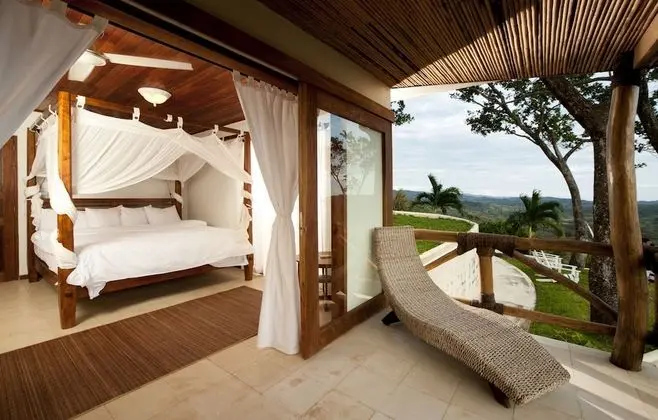 Vista Room with 1 king bed
