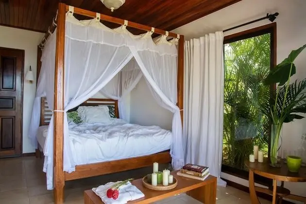 Vista Room with 1 king bed