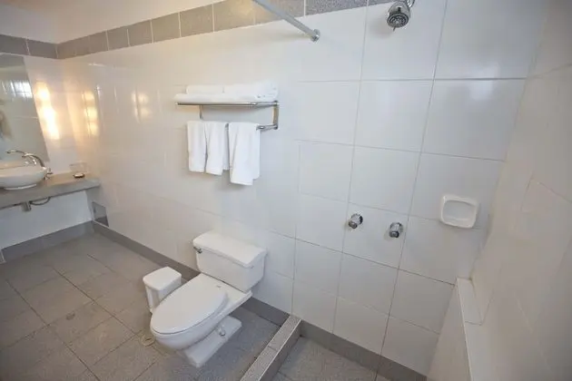 Süit