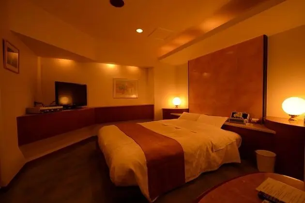 Standard Tek Büyük Yataklı Oda, Sigara İçilmez (Check-In After 9 PM,110)