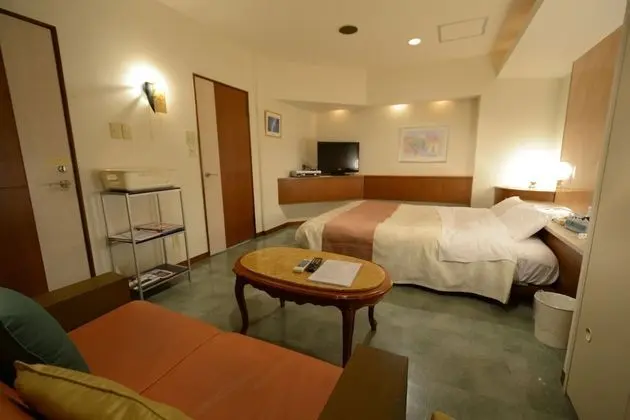 Standard Tek Büyük Yataklı Oda, Sigara İçilmez (Check-In After 9 PM,110)