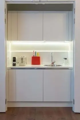 Presidential Apart Daire, 1 En Büyük (King) Boy Yatak ve Çekyat, Şehir Manzaralı