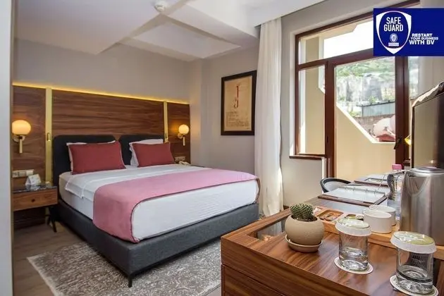 Premium Süit, 1 Yatak Odası, Sigara İçilmez, Şehir Manzaralı
