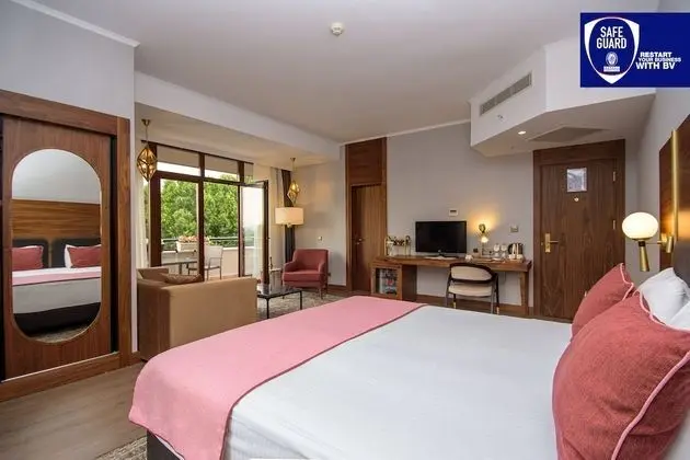 Superior Tek Büyük Yataklı Oda, Şehir Manzaralı