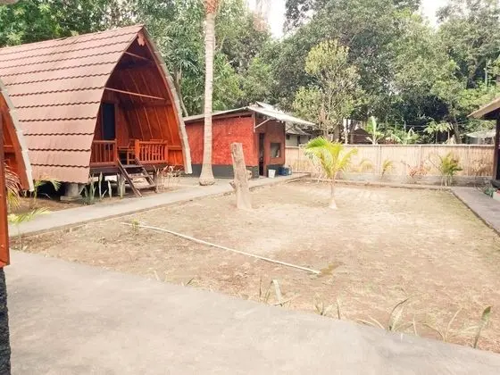 Standard Oda (2)