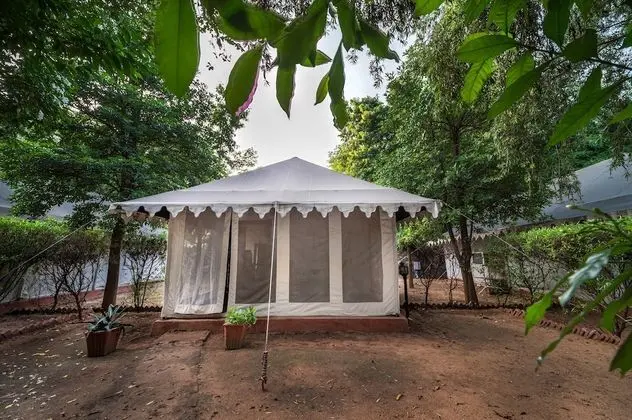 Luxury Çadır, Bahçe Manzaralı