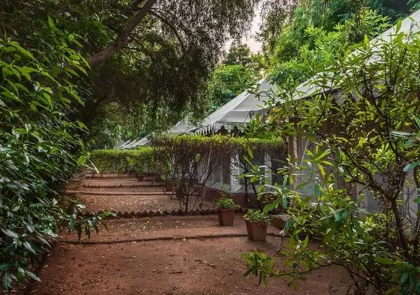 Luxury Çadır, Bahçe Manzaralı