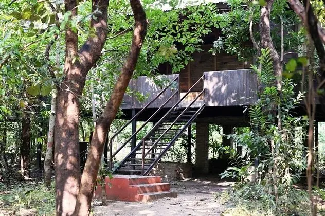 Deluxe Kır Evi, 1 En Büyük (King) Boy Yatak, Park Manzaralı, Bahçeli