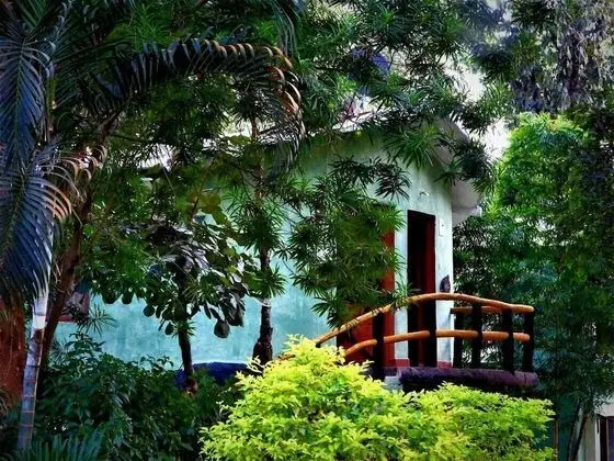 Machan Room