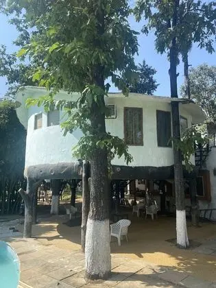 Machan Room