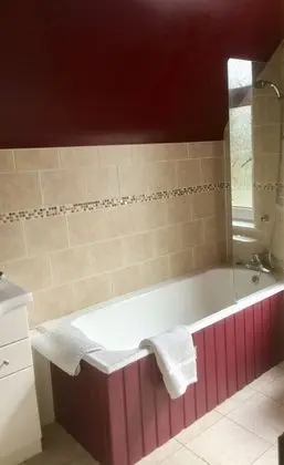 Deluxe Tek Büyük Yataklı Oda, 1 En Büyük (King) Boy Yatak, Bahçe Manzaralı
