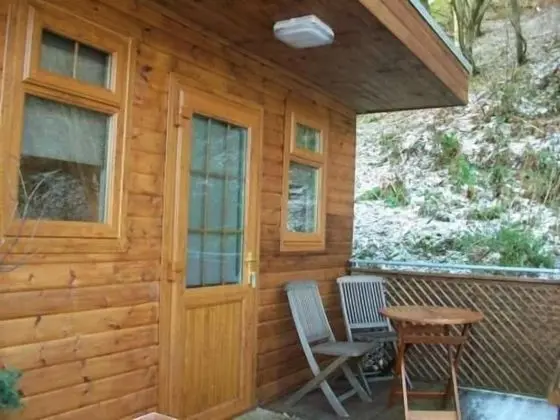 Süit, Banyolu/Duşlu (Pet Friendly )