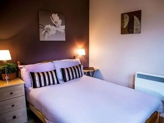 Tek Büyük Yataklı Oda, Banyolu/Duşlu (Cabin - Pet Friendly )