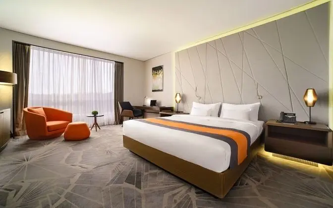 Deluxe Tek Büyük Yataklı Oda