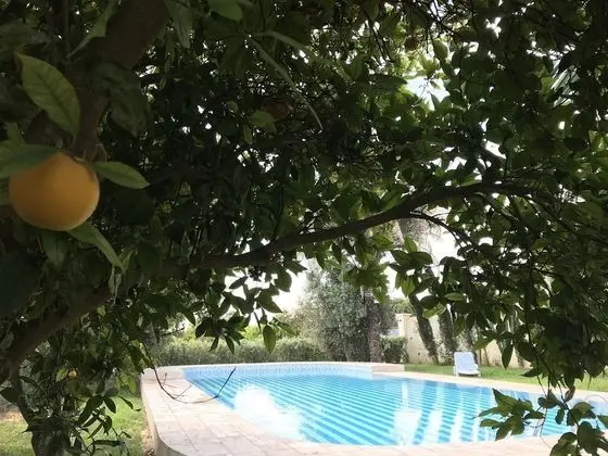 Comfort Villa, 3 Yatak Odası