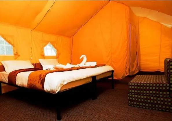 Deluxe camp
