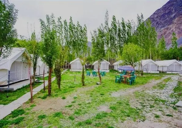 Deluxe camp