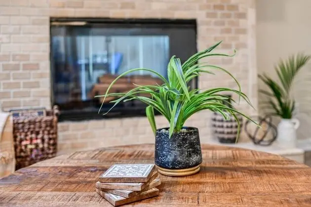 Ev (Tiki Nest)